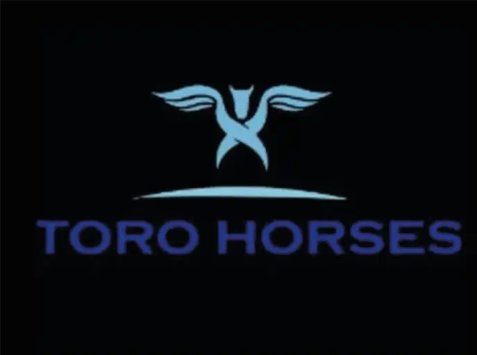 Toro Horses